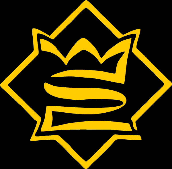 Логотип компании RazborkaVL