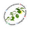 Логотип компании РЭА-консалтинг