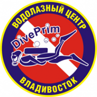 Логотип компании DivePrim