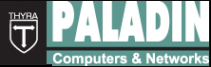 Логотип компании Палладин Инвент