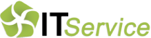 Логотип компании IT-Service