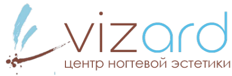 Логотип компании Vizard