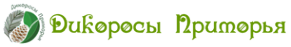 Логотип компании Дикоросы Приморья