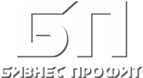 Логотип компании Бизнес Профит ДВ