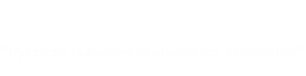 Логотип компании ТУРНИФ
