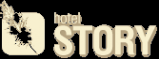 Логотип компании Story