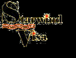 Логотип компании Старвинд-Виза
