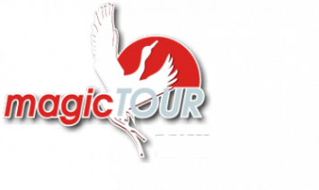Логотип компании Туристическая компания «Мейджик тур»