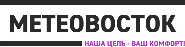 Логотип компании МетеоВосток